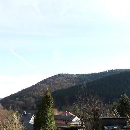 Apartment Ferienhuette Ilmtalblick *