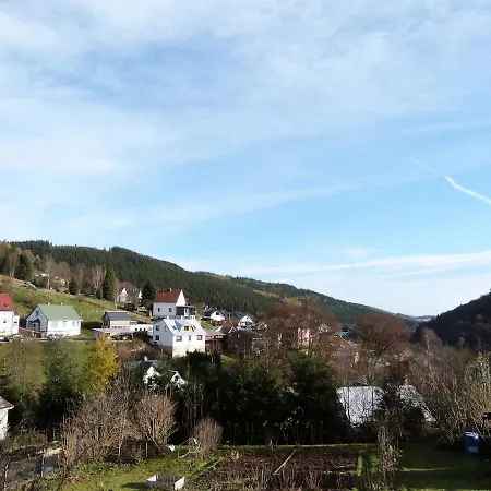 Ferienhuette Ilmtalblick Apartment *