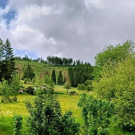 Ferienhuette Ilmtalblick