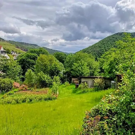 Appartamento Ferienhuette Ilmtalblick Ilmenau