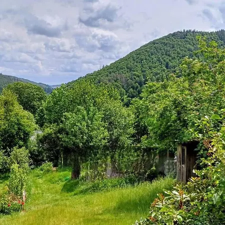 Ferienhuette Ilmtalblick * Ilmenau