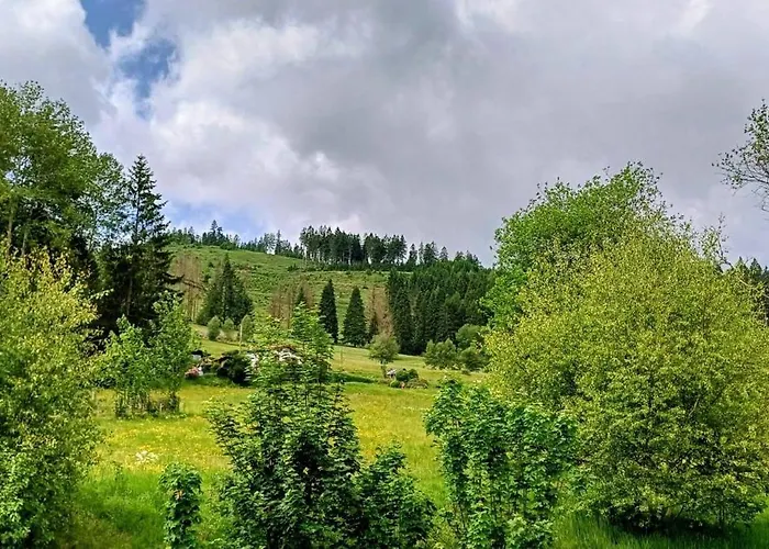 Ferienhuette Ilmtalblick