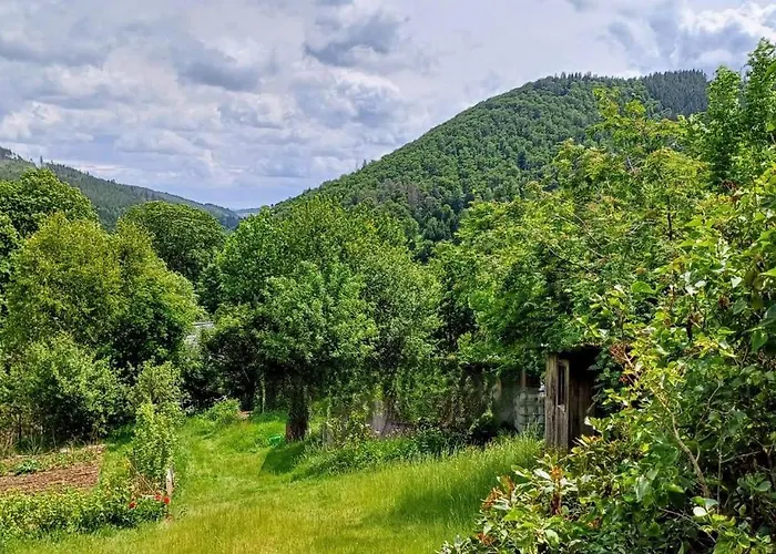 Ferienhuette Ilmtalblick * Ilmenau